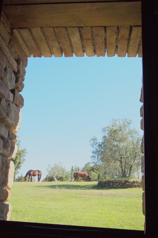 Rapale Podere Campovecchio חדר תמונה