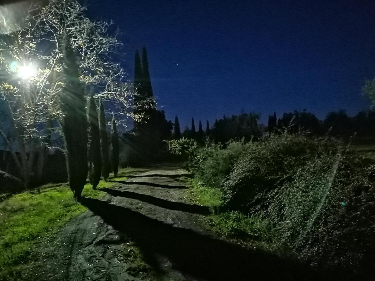 Rapale Podere Campovecchio מראה חיצוני תמונה