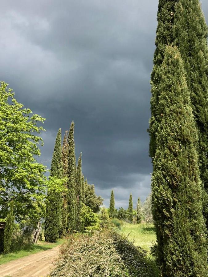 Rapale Podere Campovecchio מראה חיצוני תמונה